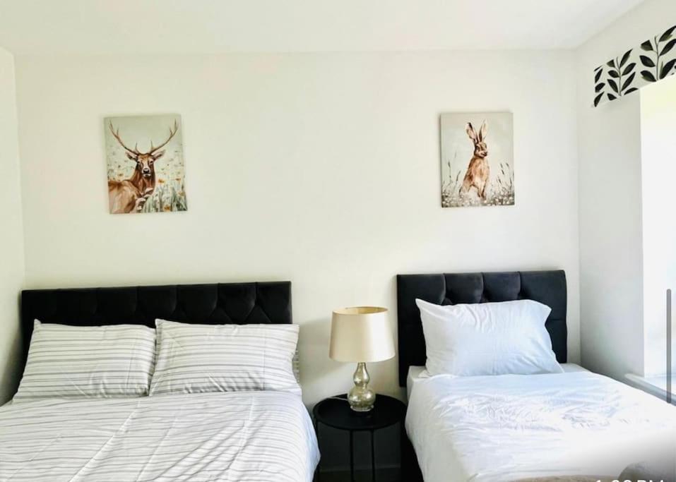 Ashford Retreat - Luxury Home With Double Parking Ngoại thất bức ảnh